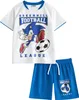 Sonic The Hedgehog - Kit de football "Greenhill League" Voir les images du produit 1