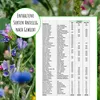 Artikelbild 3 von 'Bienenweide Region Nord-West (mehrjährig, 50 g)' aus der Kategorie Bienenwiese Produktbild-Vorschau