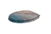 A toilet seat with a cherry blossom design. Produktbild-Vorschau