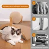 Kratzspielzeug für Katzen, interaktiver Kratzball 35×15×26 Produktbild-Vorschau 3