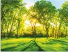 ARTland Wandbild Alu für Innen & Outdoor Frühlingswärme II Produktbild-Vorschau 1