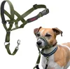 HALTI Kopfgeschirr – Anti-Zug-Halsband für kleine Hunde, Produktbild-Vorschau 1