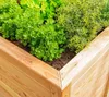 Westmann Klassik 170: Houten verhoogde tuinbed, lariks Productafbeelding-voorbeeld 9