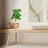 Relaxdays Kunstpflanze Monstera, 2er Set künstliche Produktbild-Vorschau 5