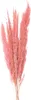 Clayre & Eef Trockenblumen 100 cm Rosa Trockenblumen Produktbild-Vorschau 1