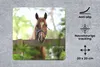 MuchoWow® Mauspad Mousepad Pferd - Natur - Zaun 20x20 cm - Produktbild-Vorschau 2