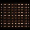A curtain of warm white LED lights against a black background. Produktbild-Vorschau