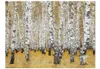 Basera Fototapete Waldmotiv 10040903-68, Vliestapete, Produktbild-Vorschau 2