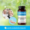 Bioherba Bitterkräuter Kapseln 100 Stück Produktbild-Vorschau 7