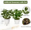 Umelá rastlina Ficus v kvetináči Sada 2 malých Náhľad obrázku produktu 2