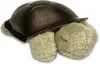 Cloud B Twilight Turtle - Classic, Freistehend, Schwarz, Produktbild-Vorschau 17