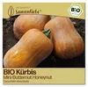 Samenliebe  Kürbis Samen | Honeynut - süß & mini - Produktbild-Vorschau 1