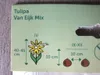 7 x Van Eijk Mix Tulipánové cibulky - odolné rostliny pro Náhled obrázku produktu 2