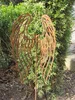 Edelrost Gartenstecker Engelsflügel filigran Flügel Produktbild-Vorschau 1