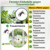 Fenster Trauermückenfalle mit Spezial-Lockstoff – 3x Fallen Produktbild-Vorschau 2
