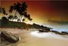 Wallario Poster - Sri Lanka - Palmenstrand mit Produktbild-Vorschau 1
