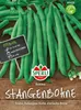 SPERLI Stangenbohnensamen Rakker Phaseolus vulgaris 10-15 Produktbild-Vorschau 3