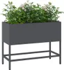 vidaXL Fioriera da giardino a letto rialzato antracite 60 x Anteprima dell’immagine prodotto 3