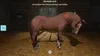 A horse in a stable receiving an injection. Anteprima dell’immagine prodotto