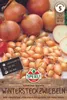 SPERLI Wintersteckzwiebel Winteria - gelb Allium cepa 50 Produktbild-Vorschau 3