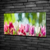 Tulup® Glas-Bild - 100x50 -Wandkunst - Wandbild hinter Produktbild-Vorschau 2