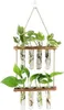 Hängen Pflanzgefäße, 2 Stufen Propagation Station, Ableger Produktbild-Vorschau 1
