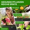 TTL GARDEN 2x 190L Pflanzsack Hochbeet Ø92x30,5cm – Produktbild-Vorschau 6