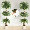 Kunstpflanzen Ficus Benjamini Ficusbaum mit Topf 180 cm – Produktbild-Vorschau 6