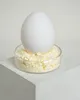 500 g Eiweiß | Eiklar Pulver | Sprühgetrocknet | Eier | Ei Produktbild-Vorschau 2
