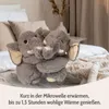 Habibi Plush Premium Wärmetier Hugys Elefant Papa+Kind Produktbild-Vorschau 7
