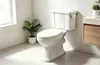 Domotechnika | WC compatto in stile retrò - Bianco - Anteprima dell’immagine prodotto 4