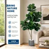 Sztuczny Fikus Liraste (Ficus Lyrata) 150 cm - Biało-czarny Podgląd zdjęcia produktu 3