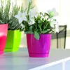 Three colorful planters with plants on a white surface. Anteprima dell’immagine prodotto