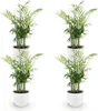 Zestaw 4 roslin doniczkowych Chamaedorea elegans w bialych Podgląd zdjęcia produktu 1