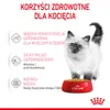 Royal Canin FHN Kitten Instinctive mokra karma dla kociąt w Náhled obrázku produktu 10