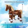 PonyCycle Modèle Y Poney à roulettes marron pour enfants de Voir les images du produit 8