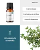 Thymian (10ml) - naturreines, ätherisches Öl von wesentlich Produktbild-Vorschau 2