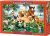 Castorland Summer Pals 500 pcs, 500 kusů, Zvířata, 9 Náhled obrázku produktu 1
