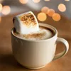 Le Sirop de Monin GERÖSTETES MARSHMALLOW 0,7l Voir les images du produit 6