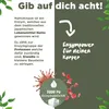 Marketing image with text and graphics explaining the benefits of Nattokinase. Produktbild-Vorschau