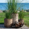 Hanoi Blumentopf Produktbild-Vorschau 4