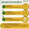 An instructional graphic detailing how to use nematodes for pest control. Produktbild-Vorschau