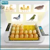 An incubator with eggs, surrounded by images of various birds. Podgląd zdjęcia produktu