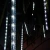 Several strands of LED lights hang down in front of dark green foliage. Produktbild-Vorschau