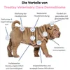 Treatsy DermaBiome für Hunde – hypoallergene Kau-Snacks mit Produktbild-Vorschau 3