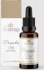 Propolis Tinktur Alkoholfrei & Wasserlöslich aus Produktbild-Vorschau 1