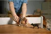 schleich Western Riding Adventures, 3 rok / roky, Náhľad obrázku produktu 15