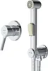 A chrome-finished bidet set with a wall-mounted mixer and a handheld bidet sprayer on a white background. Produktbild-Vorschau