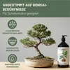 Green Home Love Nature Bonsai-Dünger 1 l, Flüssigdünger NPK Produktbild-Vorschau 4