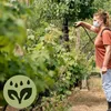 Ręczny Opryskiwacz Ogrodowy Ciśnieniowy 5L - Precyzyjny I Podgląd zdjęcia produktu 15